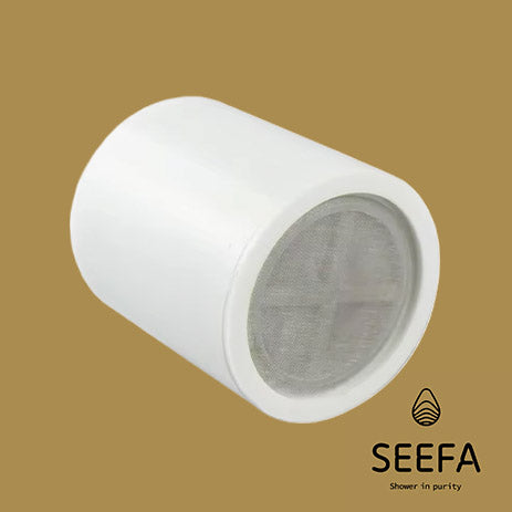 Dual-Flow Shower Filter