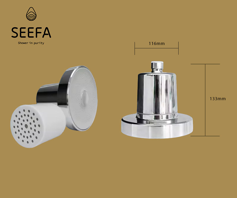 Dual-Flow Shower Filter